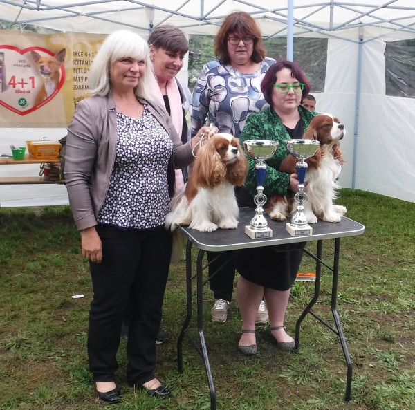 KV 2020-I, 11.7.2020, Městec Králové